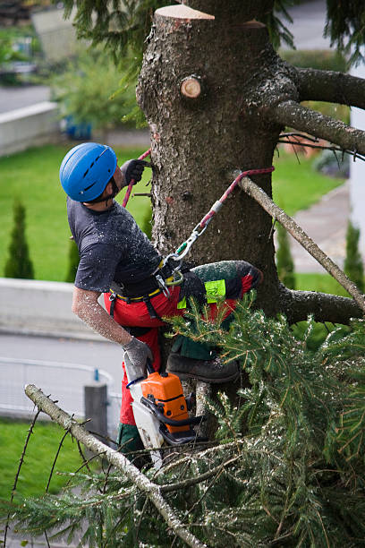 Seasonal Cleanup (Spring/Fall) in Brielle, NJ